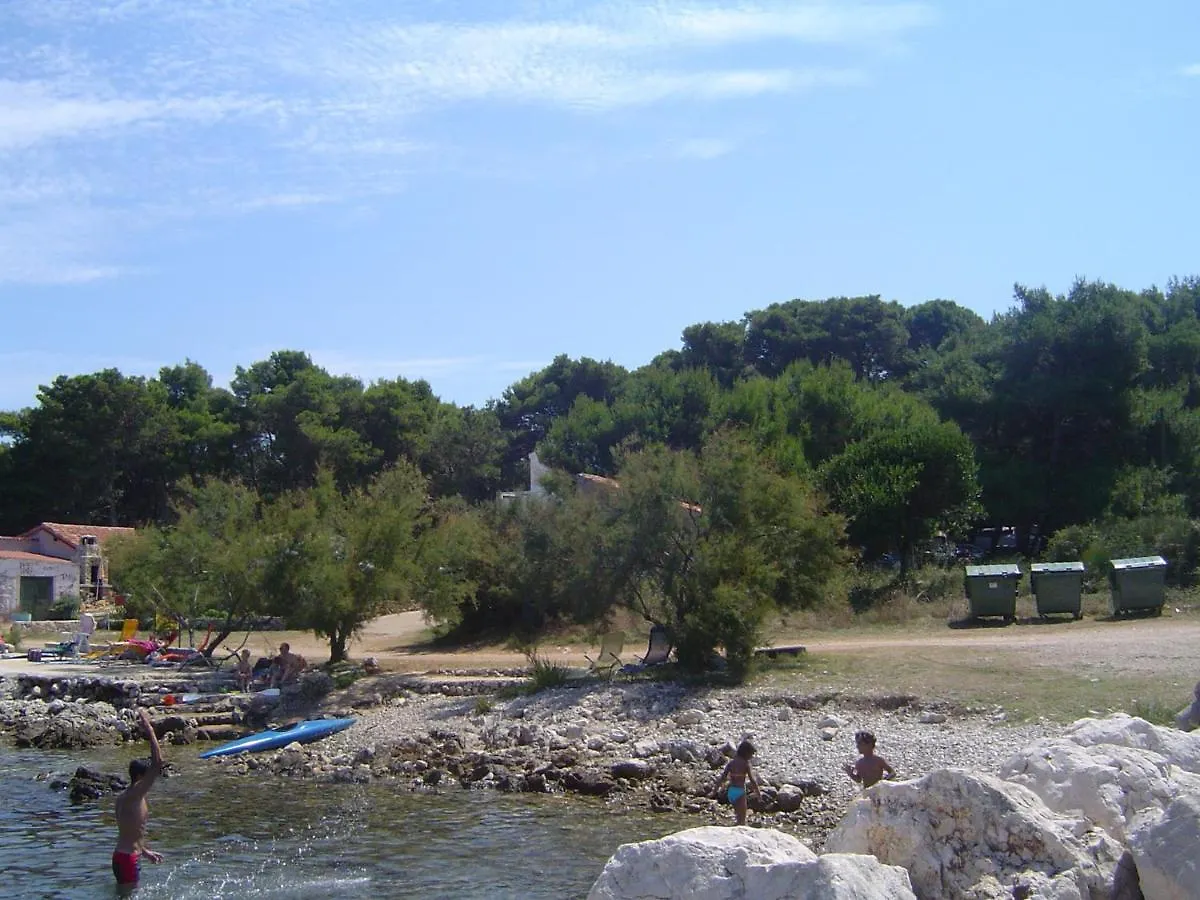 Apartment With Sea Viev - 20 M From Sea Ugljan 0*,  Croatia