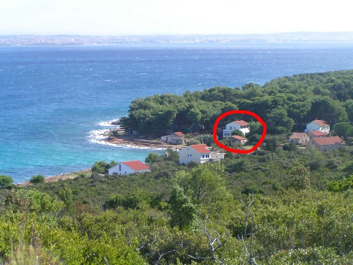 Apartment With Sea Viev - 20 M From Sea Ugljan Croatia